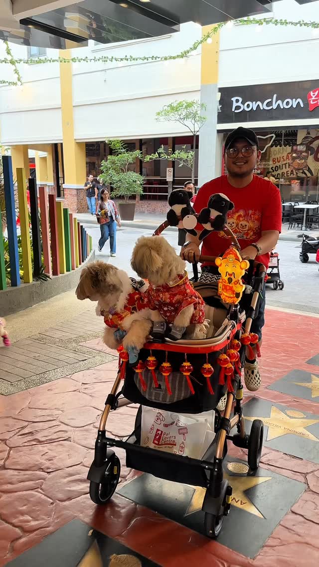 Pet owner with dogs at Eastwood City event